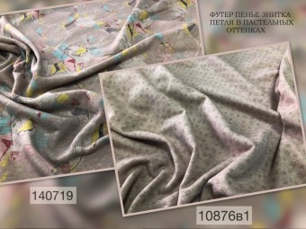 10876в1-140719ФМБ —9